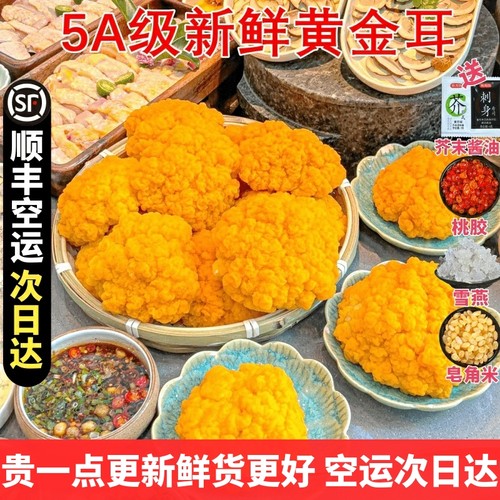 新鲜金耳菌 顺丰空运发货云南特产精选刺身山珍胶原蛋白银耳生鲜