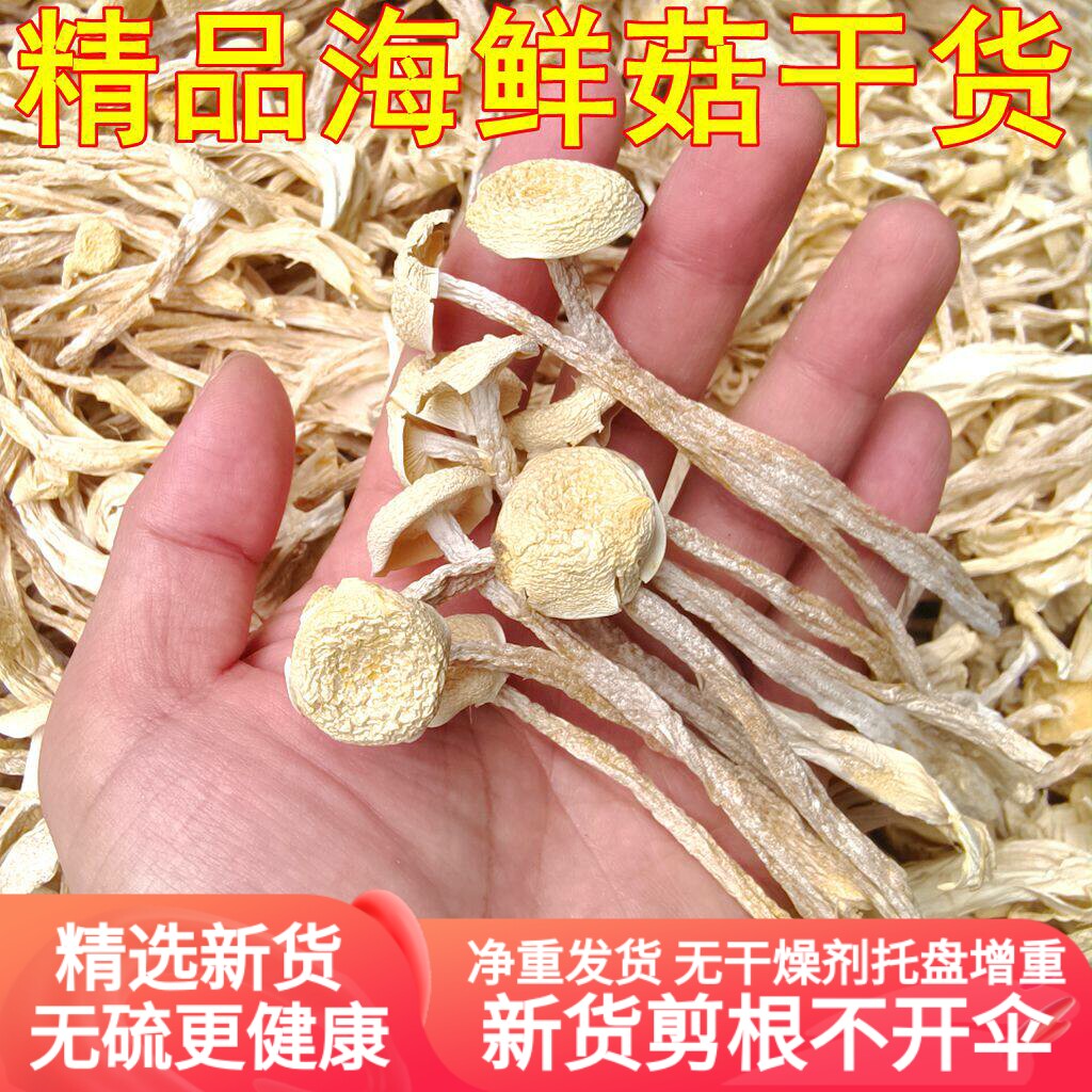 海鲜菇干货品 云南山珍500克一斤装煲汤提鲜香菇红烧滋味性价比高