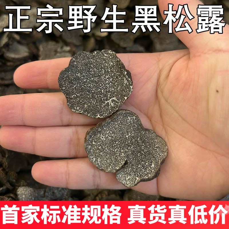 野生黑松露干片大个切片片形大云南山珍正品保障云南菌子稀有食材