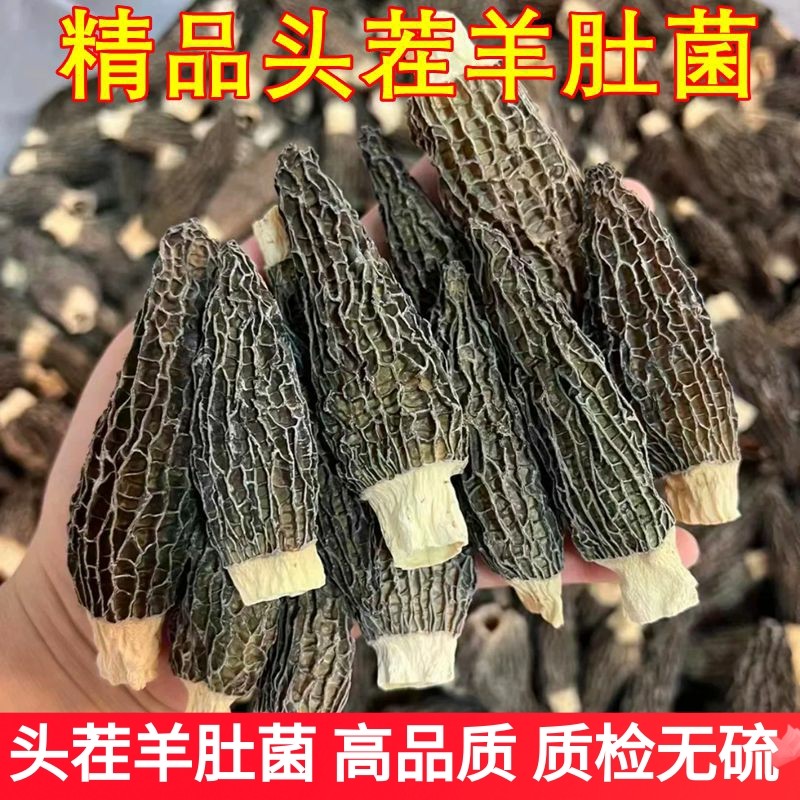 肉厚剪柄羊肚菌干货 云南山珍非新鲜菌菇食用农产品山珍云南菌子,粮油调味/速食/干货/烘焙,羊肚菌,淘宝优惠券,粉丝福利购,淘宝优惠卷