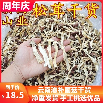 云南松茸菌干货山珍特产