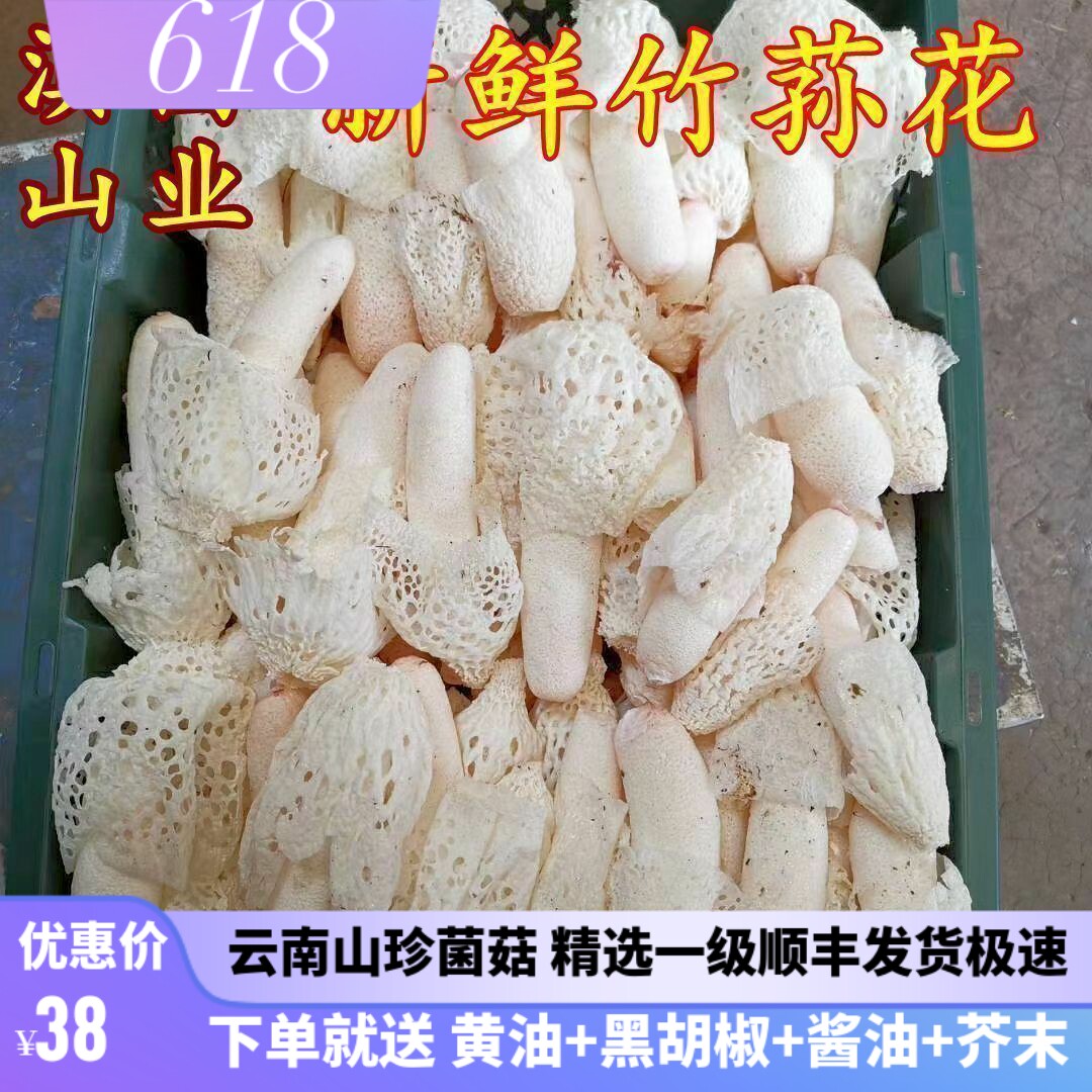 新鲜竹荪花云南特产野生织金短裙红托鲜竹笙蘑菇500g空运包邮正品