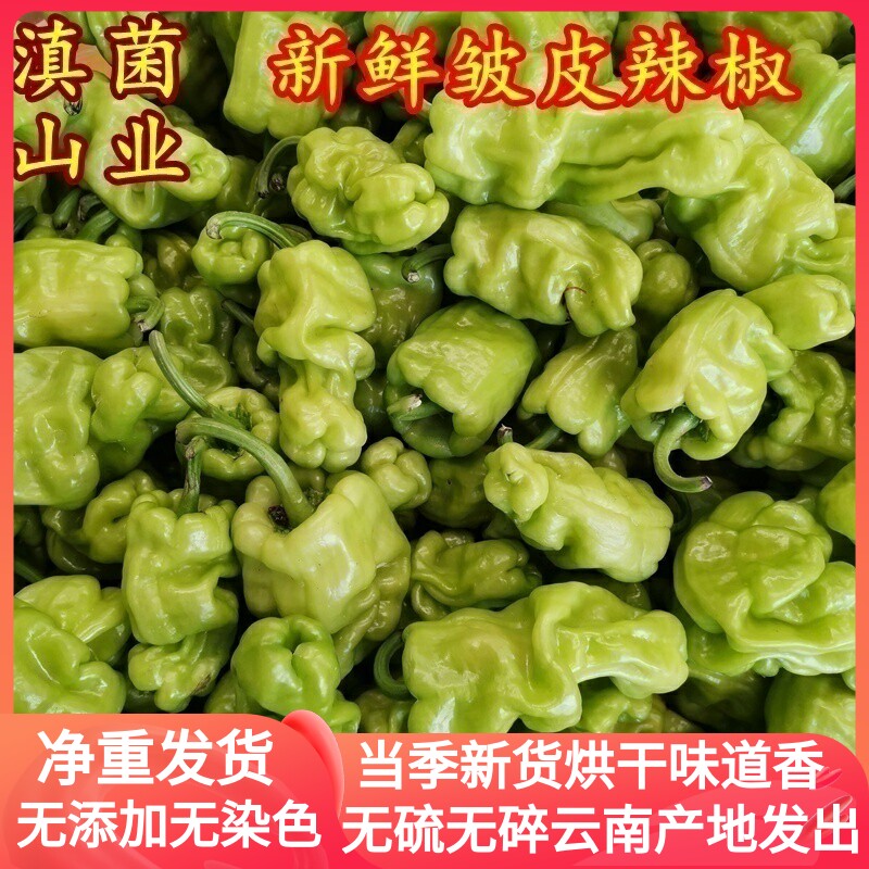 云南特有新鲜皱皮辣椒 250克装搭配菌类炒着吃很香口感脆爽味道