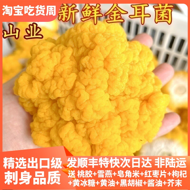 新鲜金耳菌 云南山珍可刺身银耳糯耳黑木耳口感软糯顺丰1斤美食