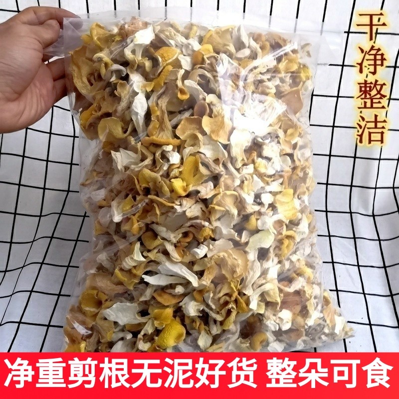 鸡油菌干货一斤装500克 榆黄菌干品云南特产野生菌正品保障新货好