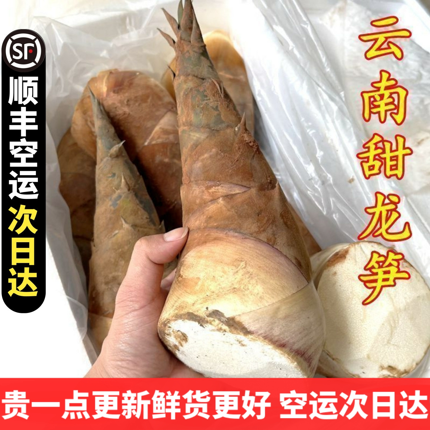 甜笋龙笋新鲜云南新鲜蔬菜 可生吃水果竹笋鲜嫩春笋现挖野菜