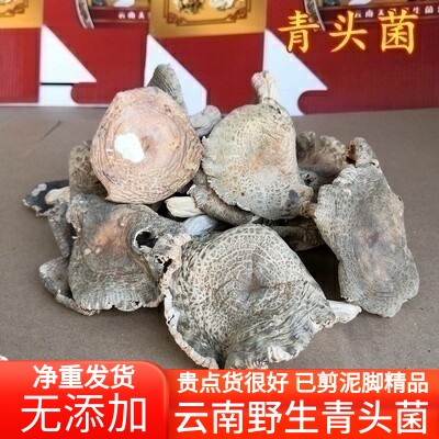 青头菌干货 云南山珍宁蒗野生菌真正的好货青头菌100克食用农产品