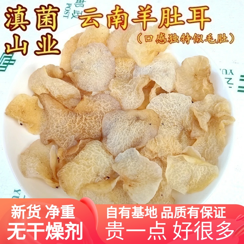 野生羊肚耳干货珍珠菌云南特产