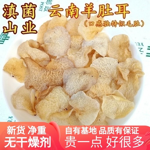 野生羊肚耳干货珍珠菌云南特产