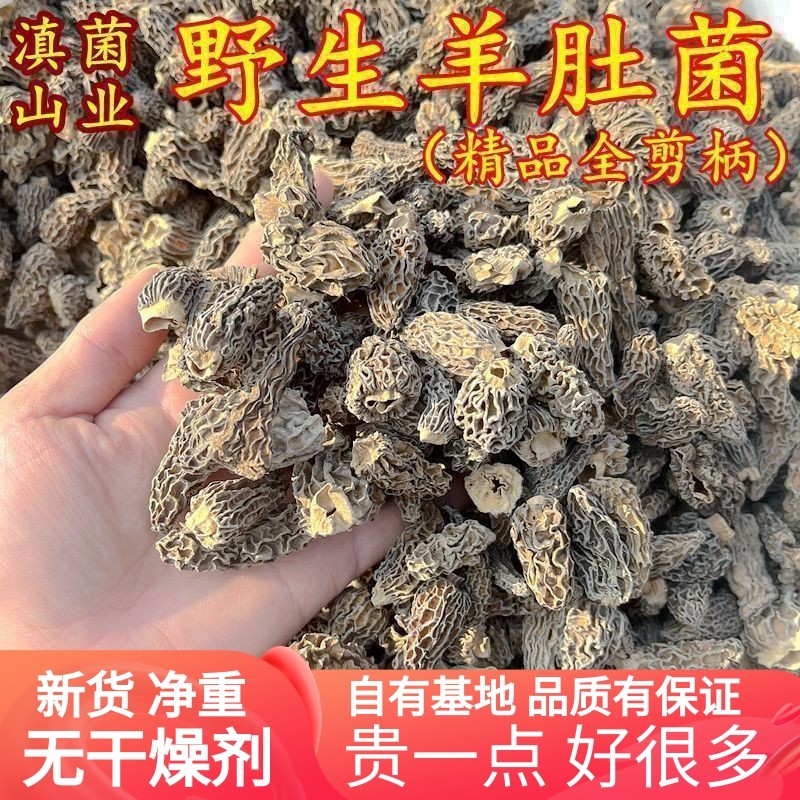 野生羊肚菌干货 云南山珍2-4厘米精品美食土特产农产品香菇50克装,粮油调味/速食/干货/烘焙,羊肚菌,淘宝优惠券,粉丝福利购,淘宝优惠卷