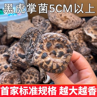 野生虎掌菌干货 大量采购价格优惠云南野生菌一斤装500克正品保障