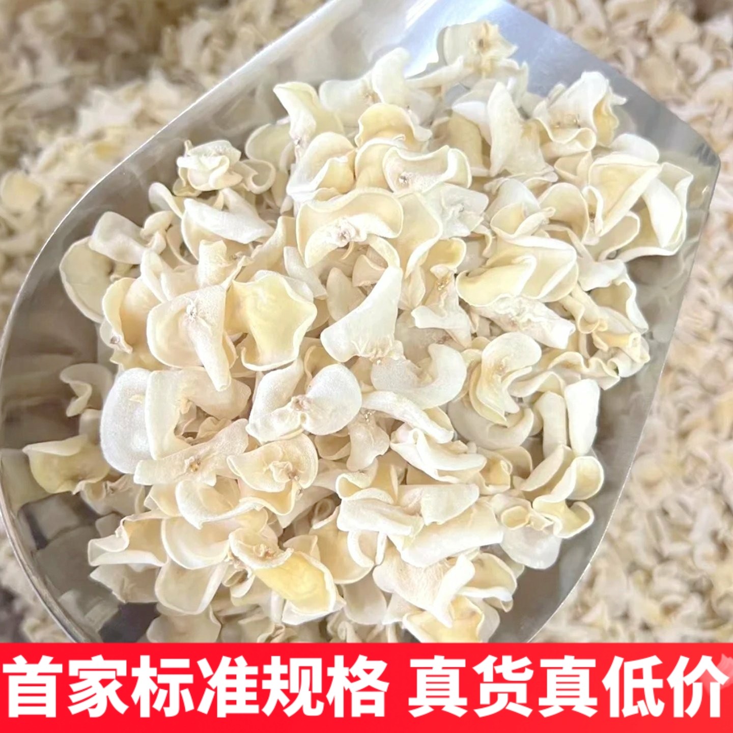 精选玉木耳黑木耳大量有货白木耳银耳非黑木耳非特级竹耳菌