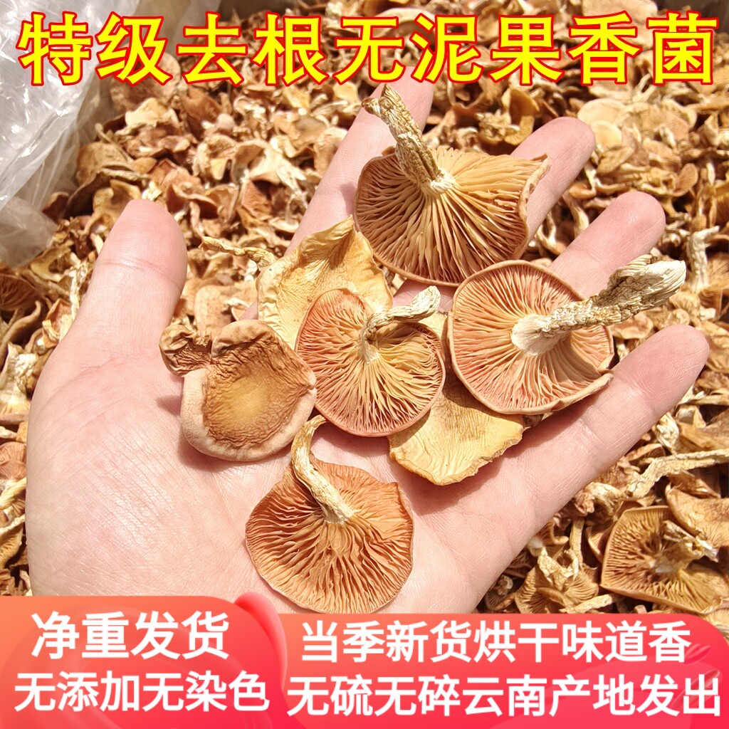 云南果香菌干货 精品无硫去脚无泥土好货香菇野生菌稀有云南菌子
