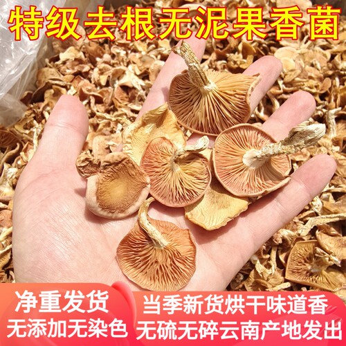 云南果香菌干货 精品无硫去脚无泥土好货香菇野生菌稀有云南菌子