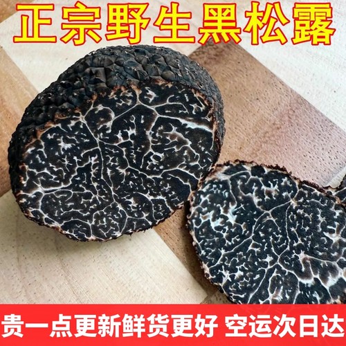 黑松露菌新鲜野生 云南菌子山珍块菌特产成熟顺丰次日达美食稀有