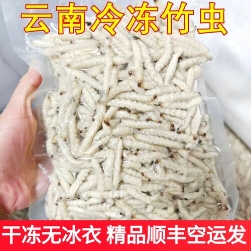 冰冻竹虫野生冷冻竹节虫蜂蛹云南虫子宴顺丰空运次日达净重无冰衣