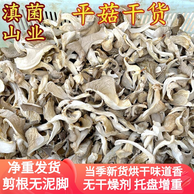 平菇干货特级新货250克装云南菌子山珍香菇煲汤食材山珍凤尾菇
