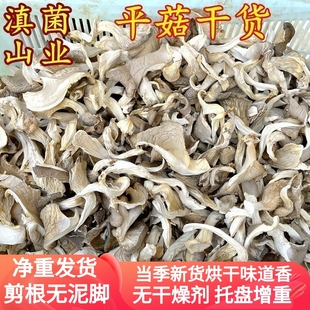 平菇干货特级新货250克装云南菌子山珍香菇煲汤食材山珍凤尾菇