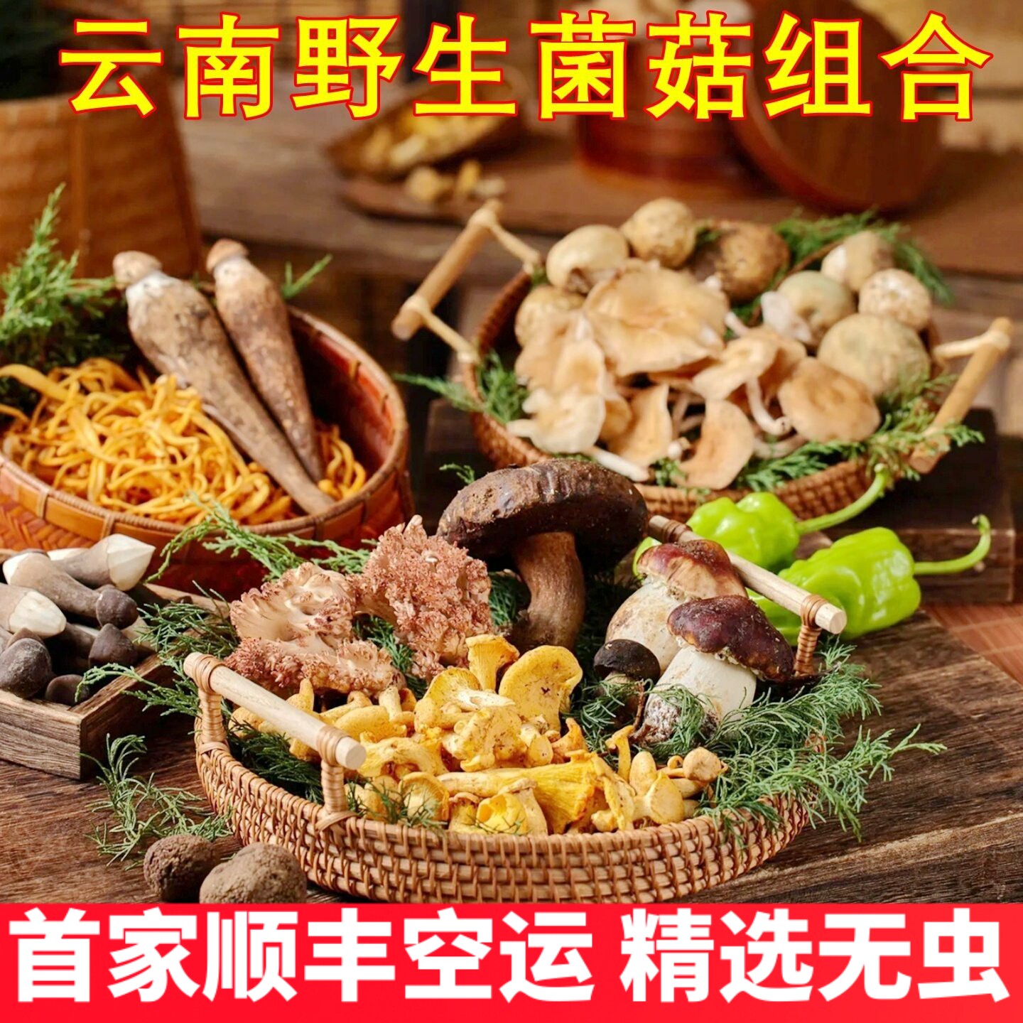 云南野生菌组合新鲜 稀有独特美食农产品菌汤青头菌谷熟菌鸡枞菌