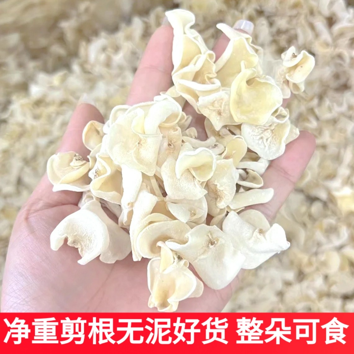 白玉木耳菌干货黑木耳包邮兔耳菌银耳非黑木耳非特级竹耳菌玉木耳