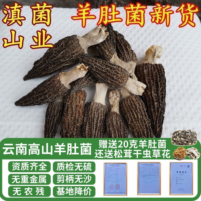 羊肚菌干货 云南特级500克装正品保障七彩云南菌子山珍蘑菇香菇
