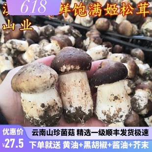 1000克特产蘑菇巴西菇 包邮 空运 新鲜姬松茸 特级云南山珍两斤装