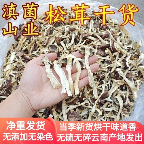 云南松茸菌干货山珍特产