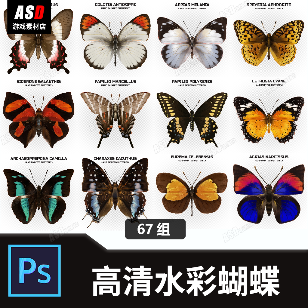 水彩蝴蝶素材高清3d渲染花鸟鱼虫icon设计元素纹理纹样图标手绘