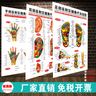 足部反射区健康疗法挂图足疗按摩好处经络穴位图解中医养生海报贴