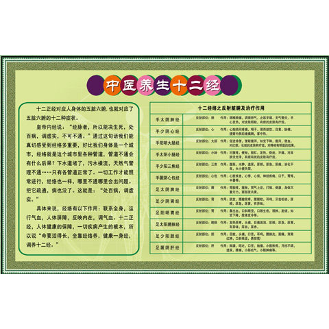 中医养生12经/人体保健按摩/十二经穴位大挂图/12经络穴位图/海报