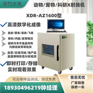 X射线检测 兽植物骨头夹杂异物密封件泄漏 X光机产品缺陷透视设备