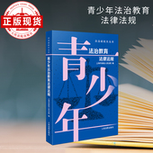 青少年法治教育法律法规 法治副校长丛书
