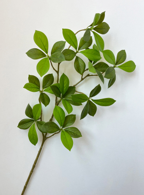 仿真绿植马醉木发财树假植物摆设