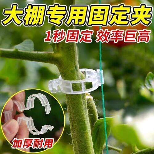 黄瓜西红柿豆角藤蔓爬藤固定器