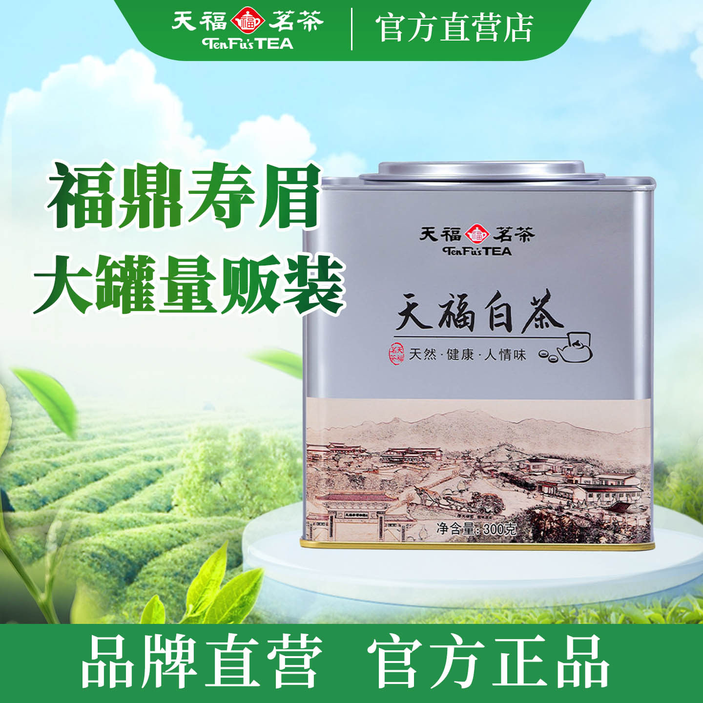 天福茗茶寿眉白茶自饮装 正宗福鼎特产白茶茶叶铁罐散茶罐装300G