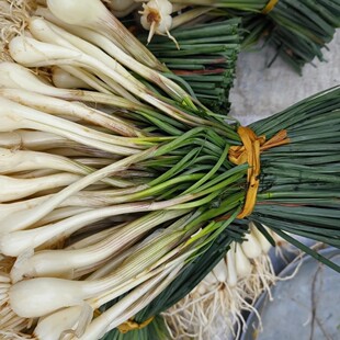 四川特产教头鹅土蕌新鲜蔬菜藠头农家自种现挖现发带叶半荞头叫头