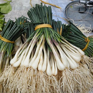 四川特产教头鹅土蕌新鲜蔬菜藠头农家自种现挖现发带叶半荞头叫头