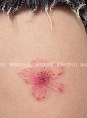 四时花信 | 小花朵纹身贴薄纱浪漫樱花不反光大腿彩色手腕可水洗