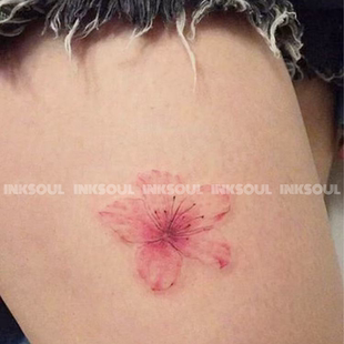 四时花信 | 小花朵纹身贴薄纱浪漫樱花不反光大腿彩色手腕可水洗
