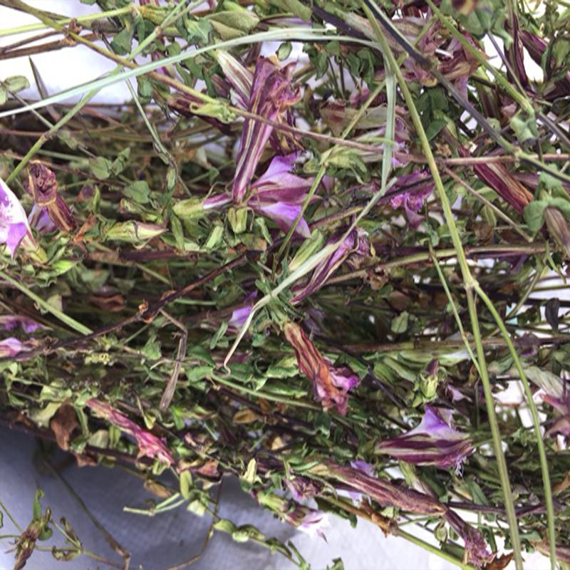 贵州野生红花龙胆草500g中药材龙胆花小青鱼胆星秀花包邮农家自晒