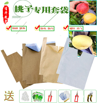 桃套袋冬桃苹果橙子猕猴桃柑橘防鸟防水石榴黄桃水蜜桃白色梨套袋
