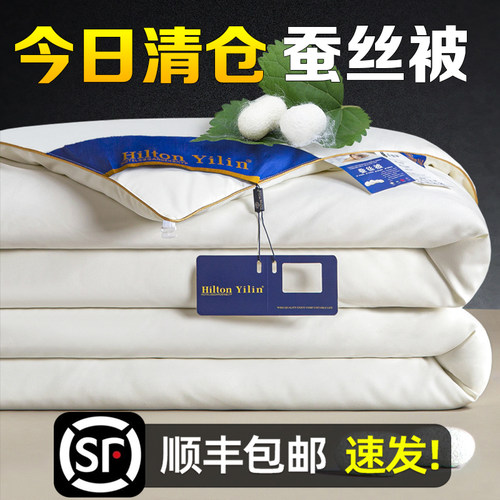 出口正品蚕丝被100桑蚕丝夏凉被