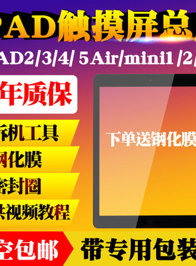 适用ipad2/3/4/5air外屏mini1迷你2触摸屏幕总成A1822 A1893 2197
