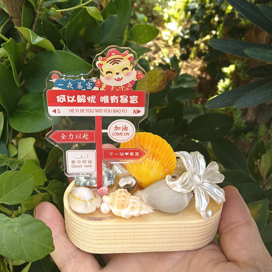 天然海螺贝壳木制底座小摆台海岛礼品纪念品励志个性摆件桌面装饰