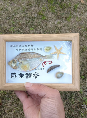 天然海螺贝壳相框咸鱼翻身相册摆件文创礼品伴手礼家居装饰品