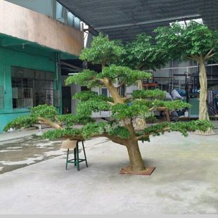 东莞厂家制作 玻璃钢大树摆放迎客松 可按要求做 仿真松枝罗汉松
