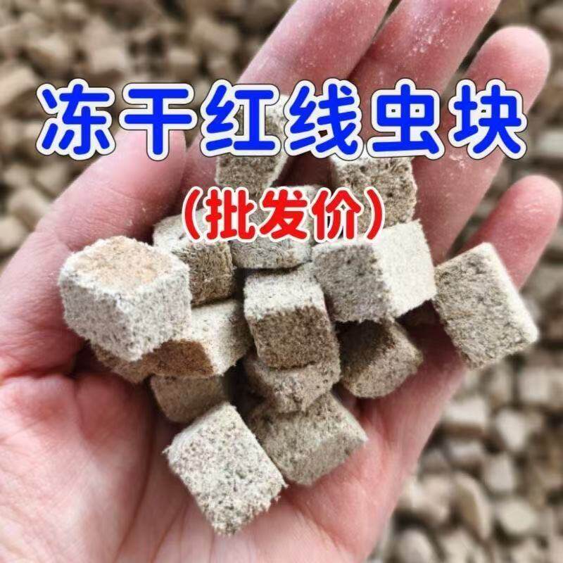 冻干水蚯蚓贴块高蛋白鱼饲料