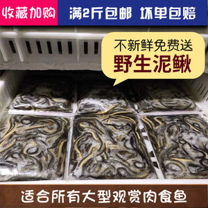 包点供应市场需求分析