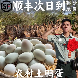 农村正宗【土鸭蛋】30枚顺丰发货农家散养放养新鲜鸭蛋正宗麻鸭蛋