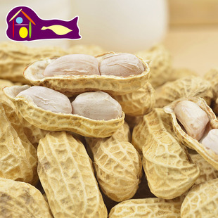 东石花生1000g梅州平远客家农家水煮原味白红衣带壳咸干味润花生
